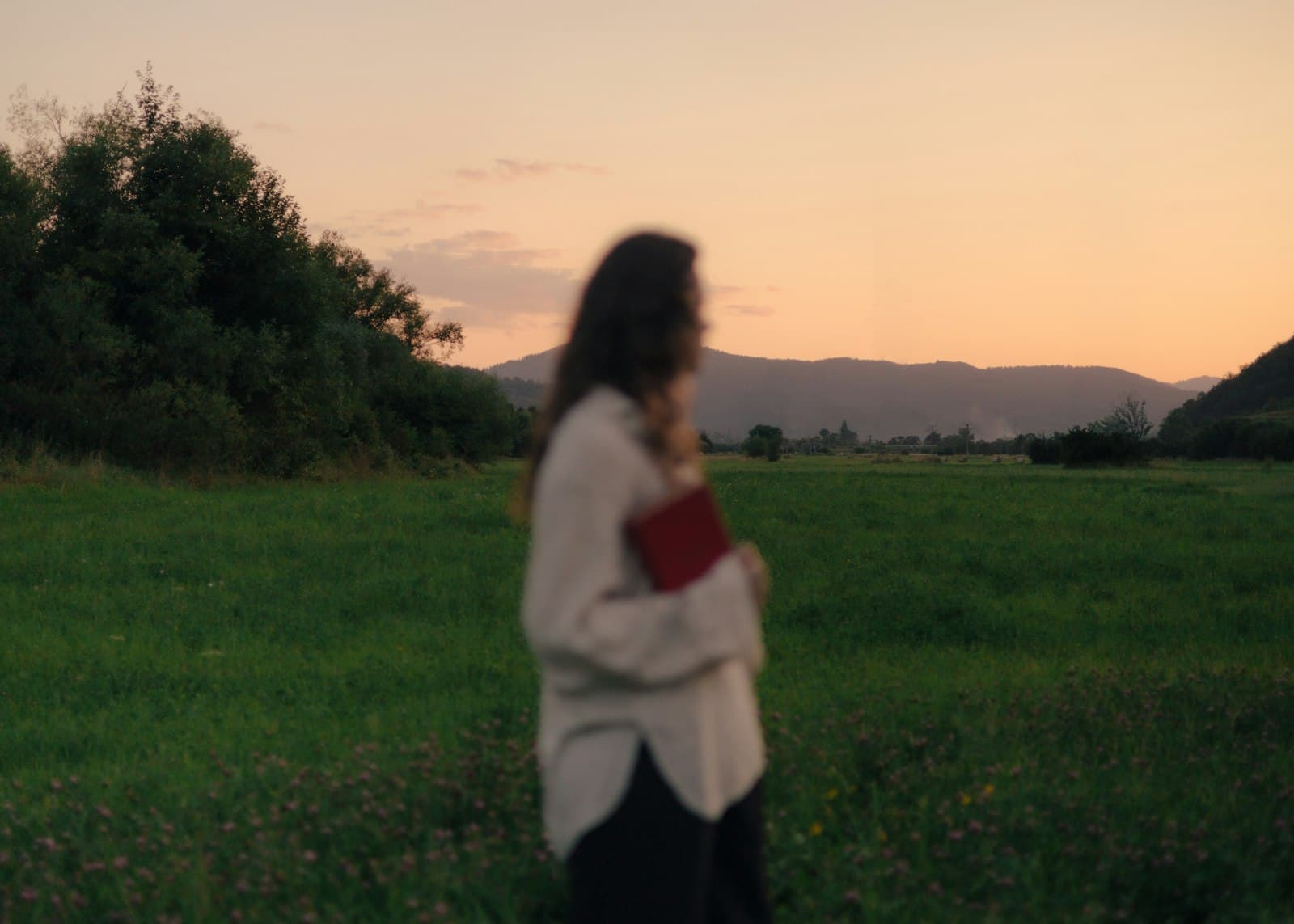 Una persona caminando sola en un campo abierto al atardecer, en actitud contemplativa.