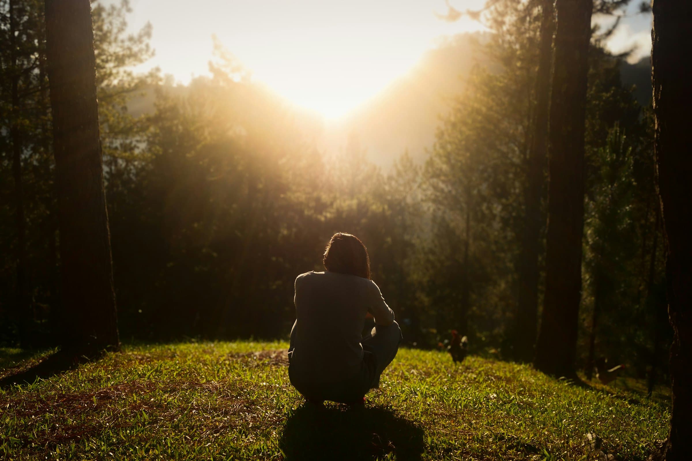 Una persona meditando en un bosque tranquilo al amanecer, con luz suave filtrándose entre los árboles.