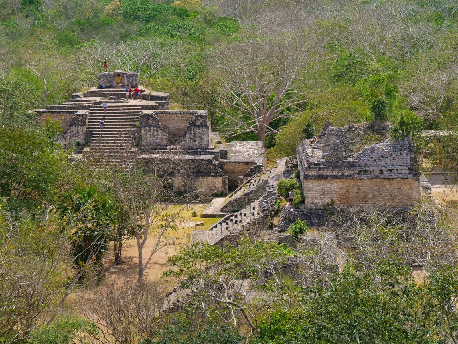 Vegetación exuberante de la selva yucateca y ruinas mayas