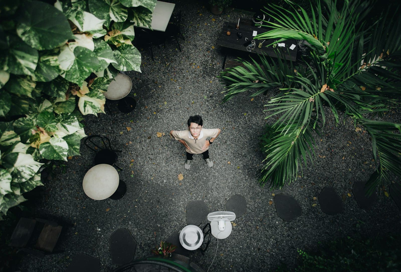 Una persona meditando tranquilamente en un jardín tropical dentro de una residencia moderna.
