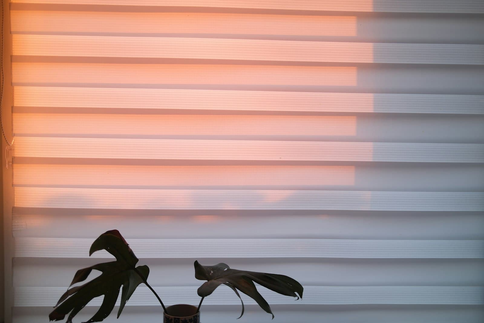 Interior luminoso con un jardín tropical y un diseño que fusiona con la naturaleza