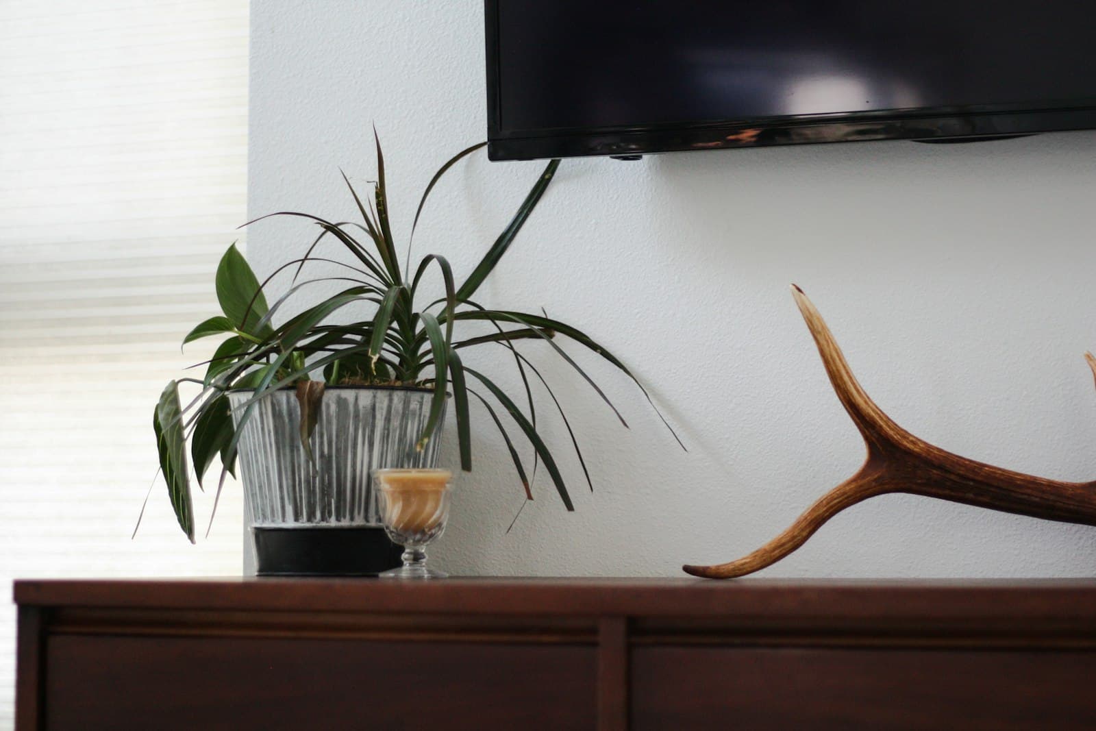 Elementos naturales en la decoración del hogar: plantas, madera y texturas suaves