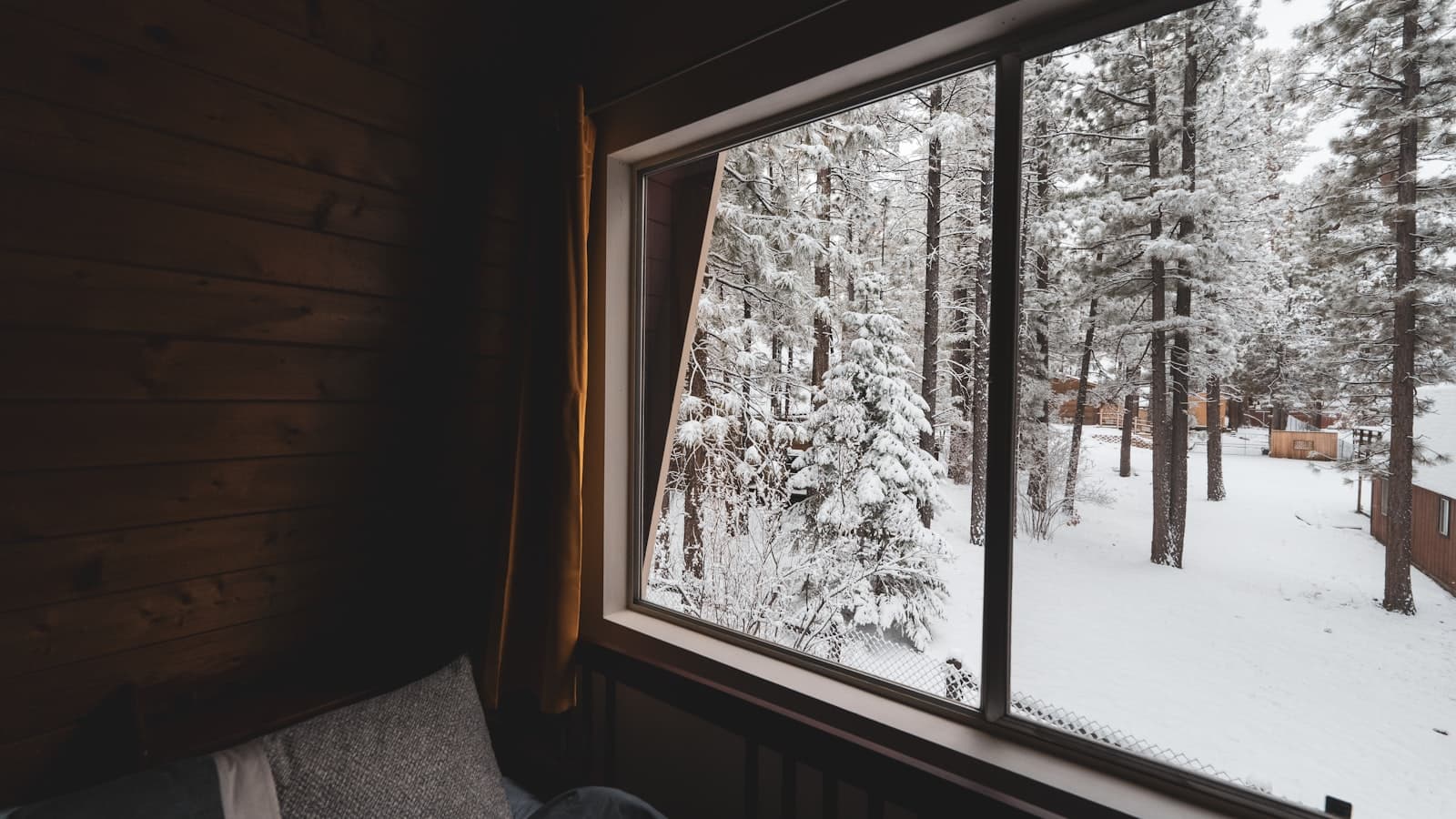 Una persona leyendo un libro tranquilamente en una cabaña acogedora con vistas a un bosque, bajo una luz cálida