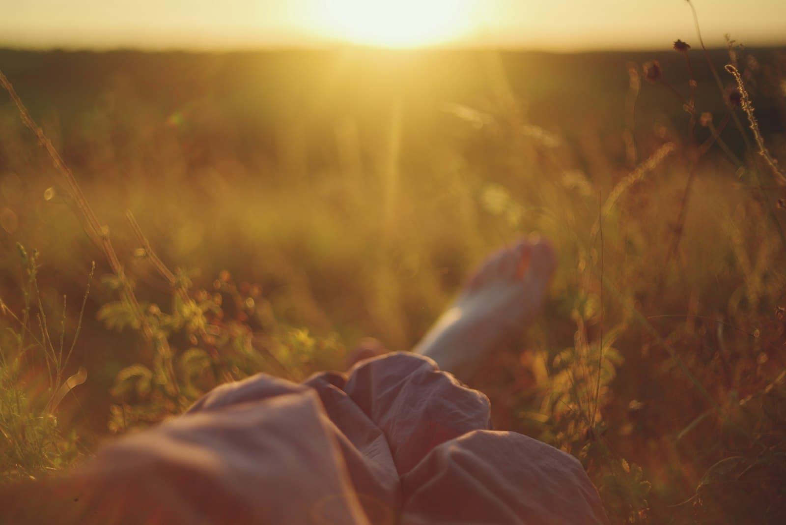 Manos sosteniéndose suavemente, con un amanecer suave al fondo, simbolizando conexión con la naturaleza.
