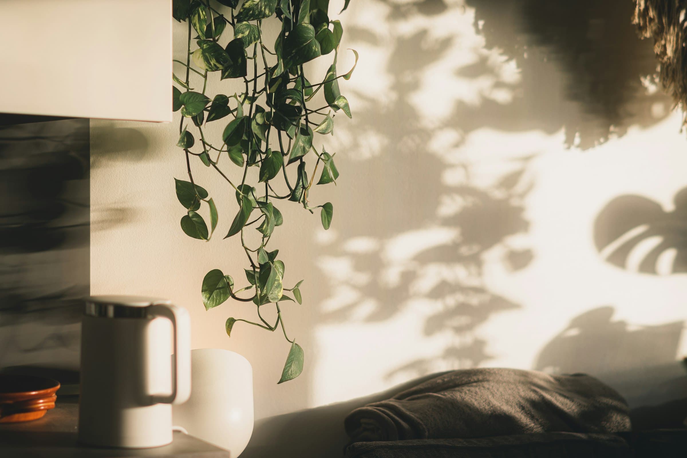 Interior de una casa luminosa con grandes ventanales y plantas, evocando tranquilidad.
