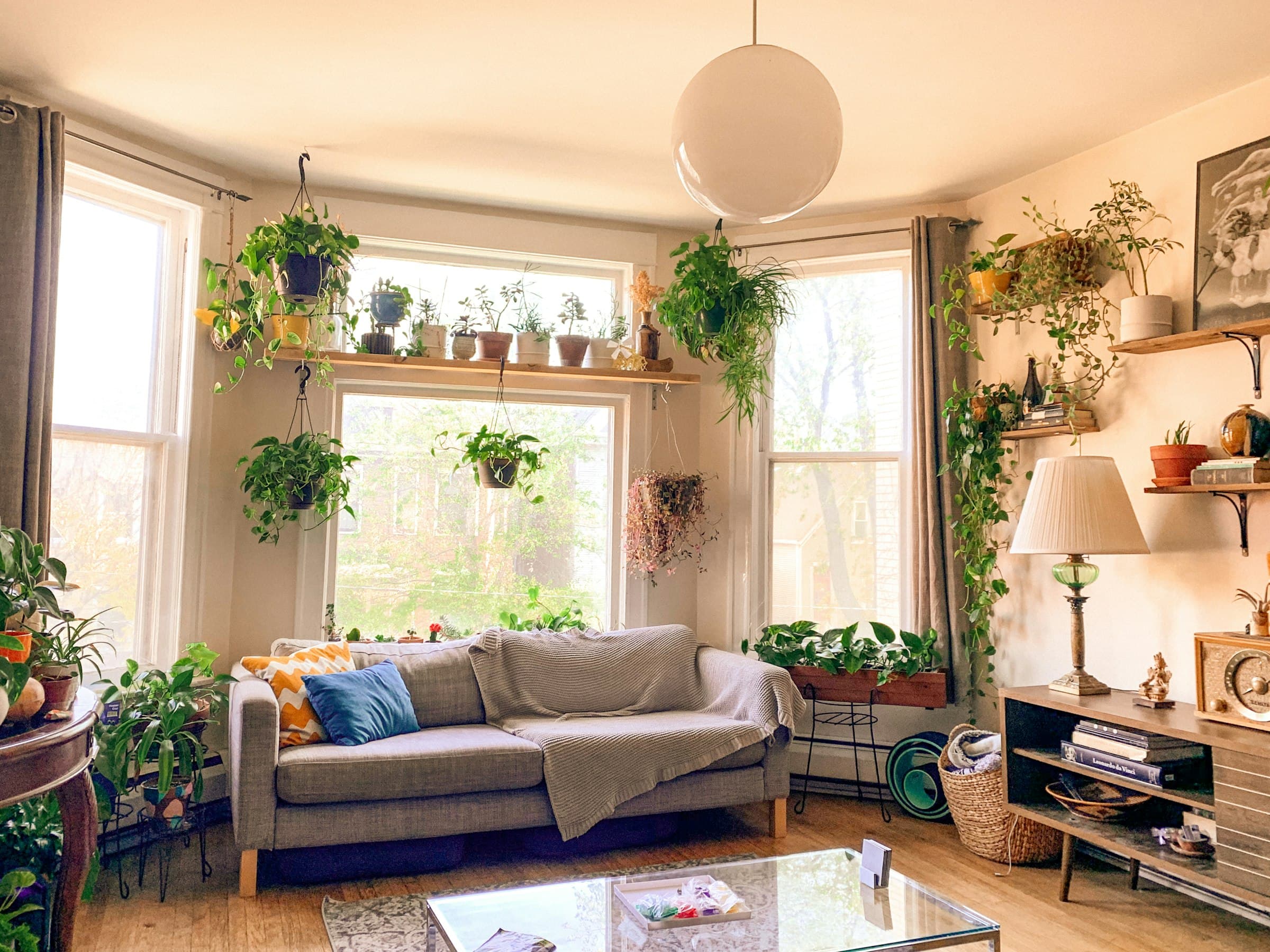 Interior minimalista y luminoso de una casa con grandes ventanales y plantas