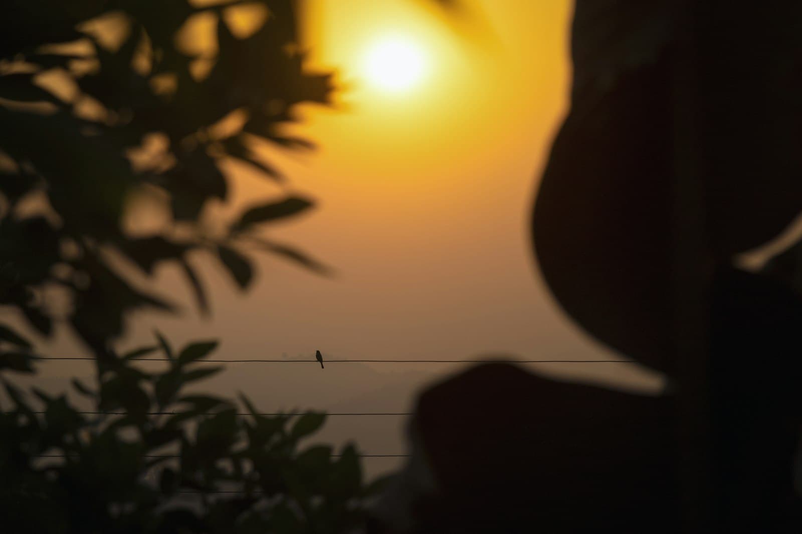 Una persona meditando tranquilamente al amanecer en un entorno natural, con la luz dorada iluminando el rostro