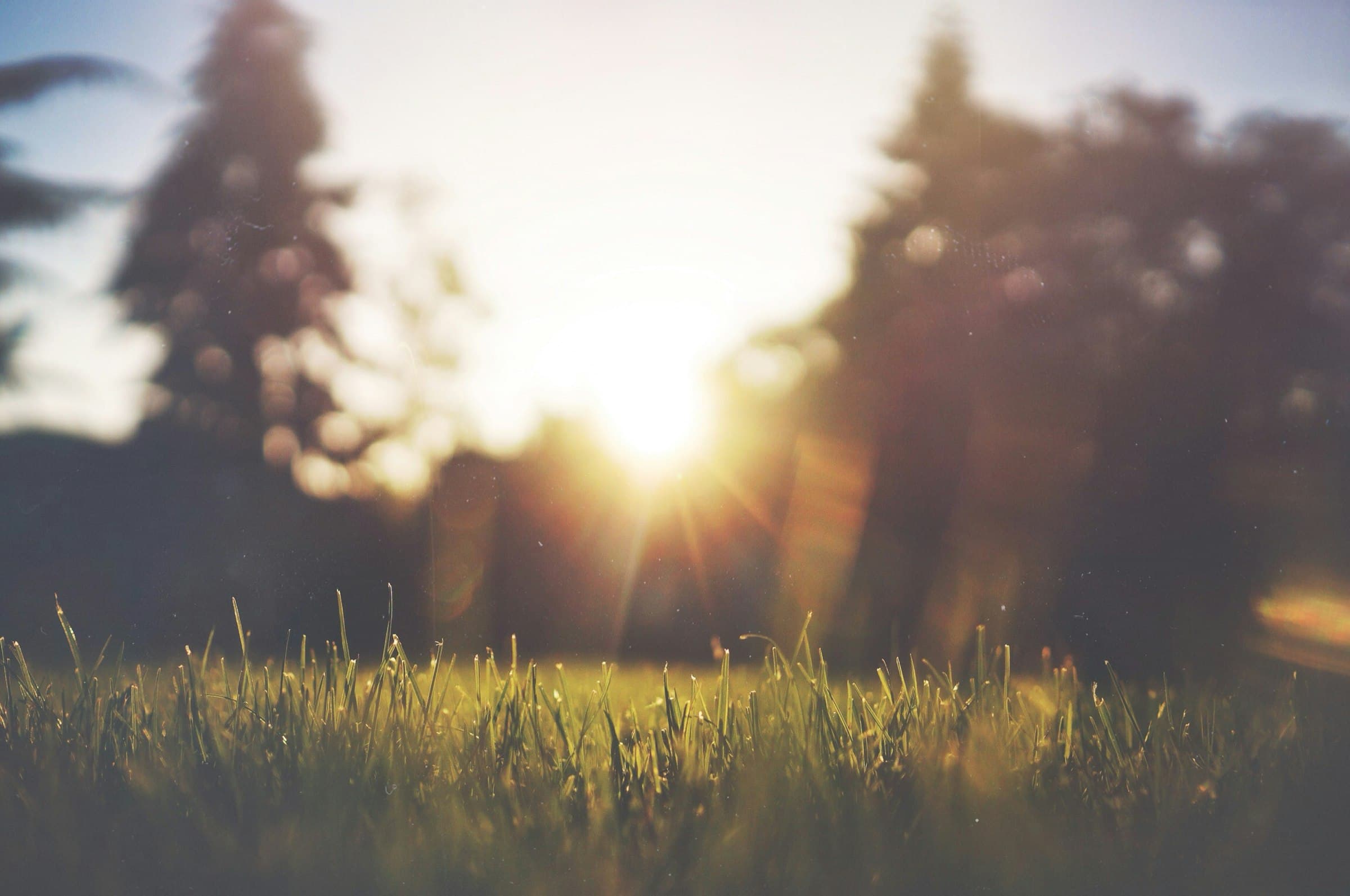 Persona meditando en un campo al atardecer del solsticio de verano