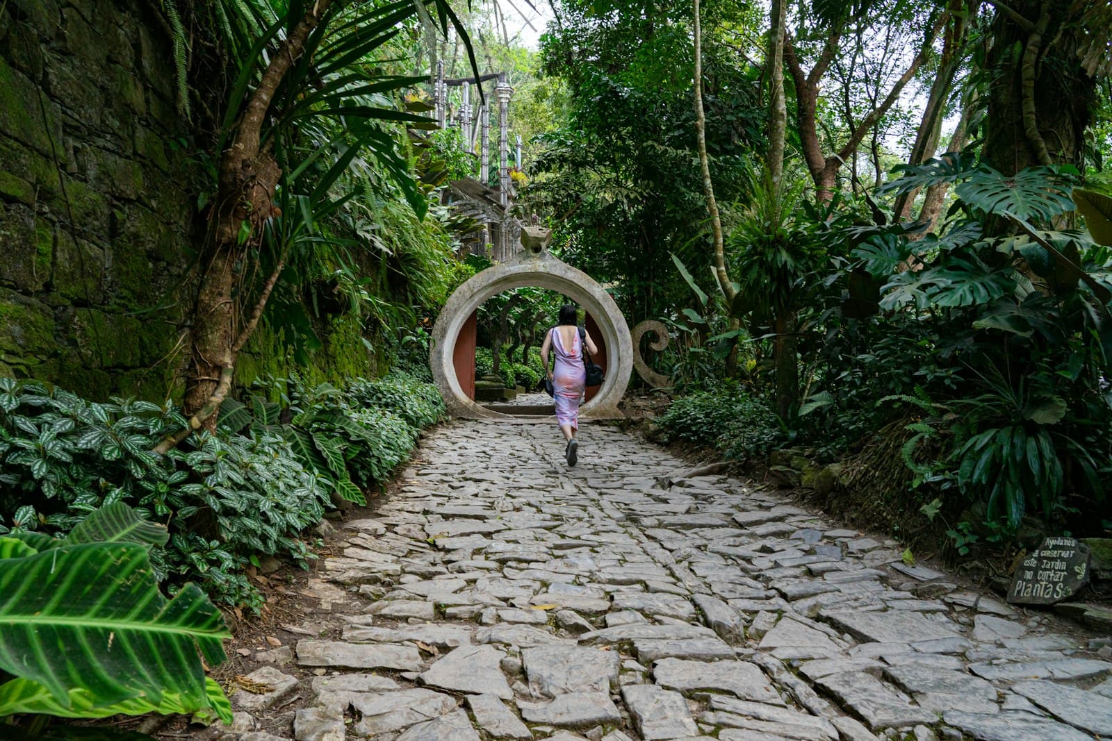 Una persona caminando por un sendero rodeado de exuberante naturaleza en México