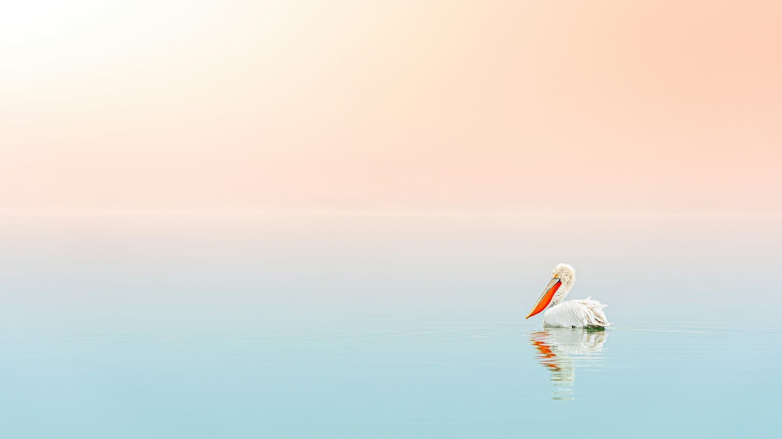 Una persona meditando tranquilamente junto a un lago sereno, rodeada de montañas y árboles.