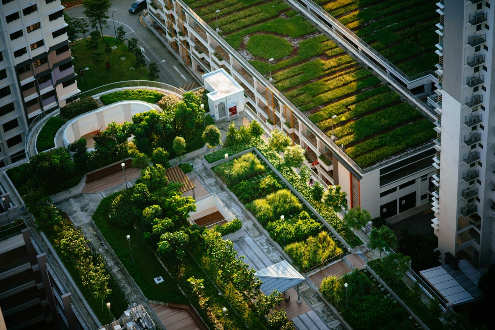 Un jardín en la azotea de un edificio urbano, con plantas verdes y un cielo claro, ofreciendo un oasis de tranquilidad.