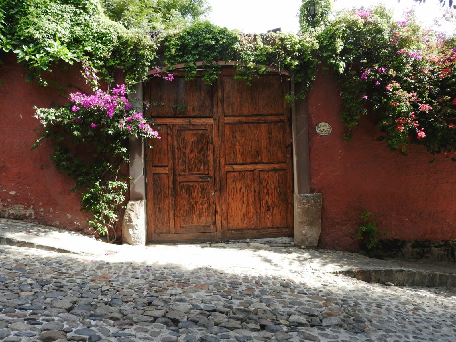 Patio soleado en San Miguel de Allende con plantas exuberantes y detalles arquitectónicos