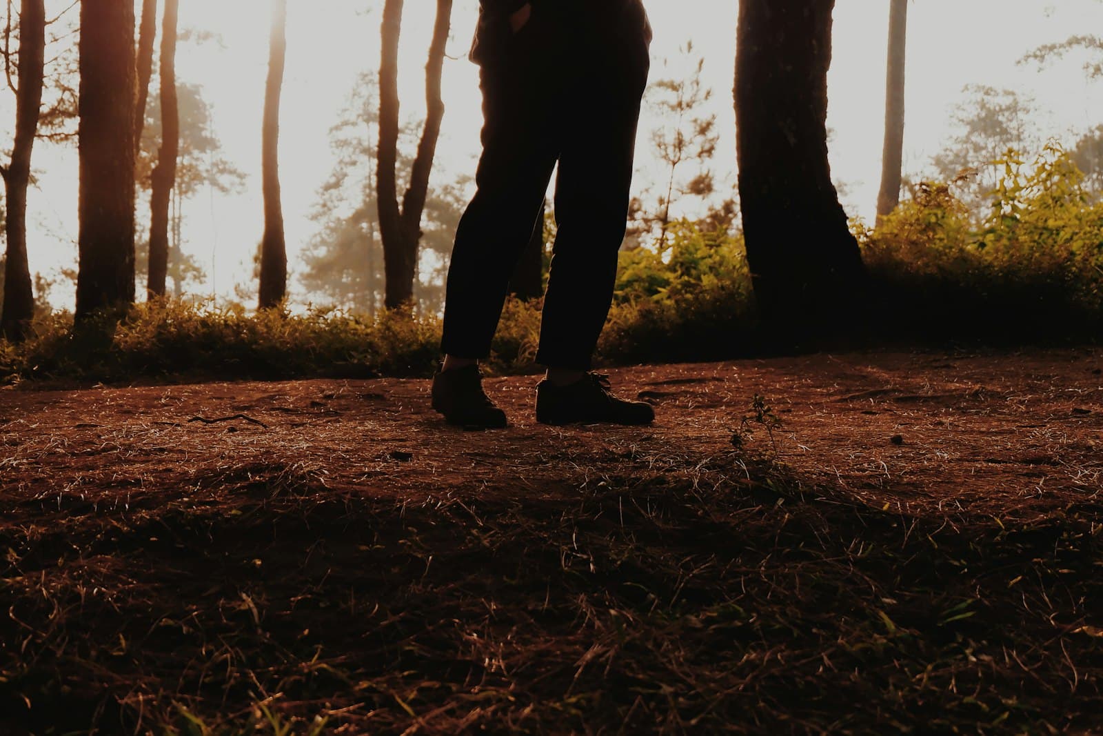 Una persona caminando descalza por un sendero arbolado, conectando conscientemente con la tierra.