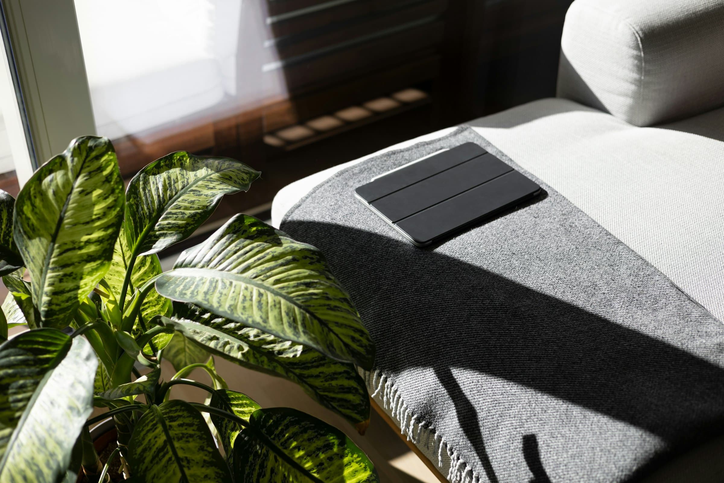 Sala de estar minimalista con luz natural, plantas y cojines cómodos