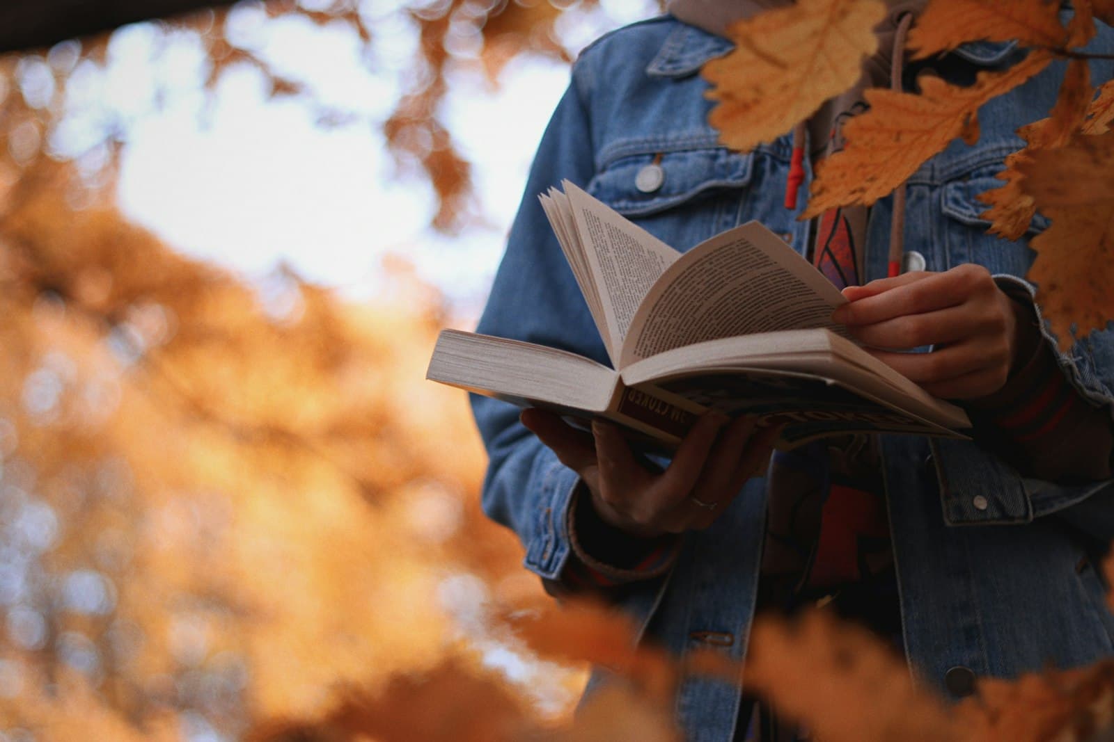 Una persona leyendo un libro físico cómodamente en un jardín tranquilo