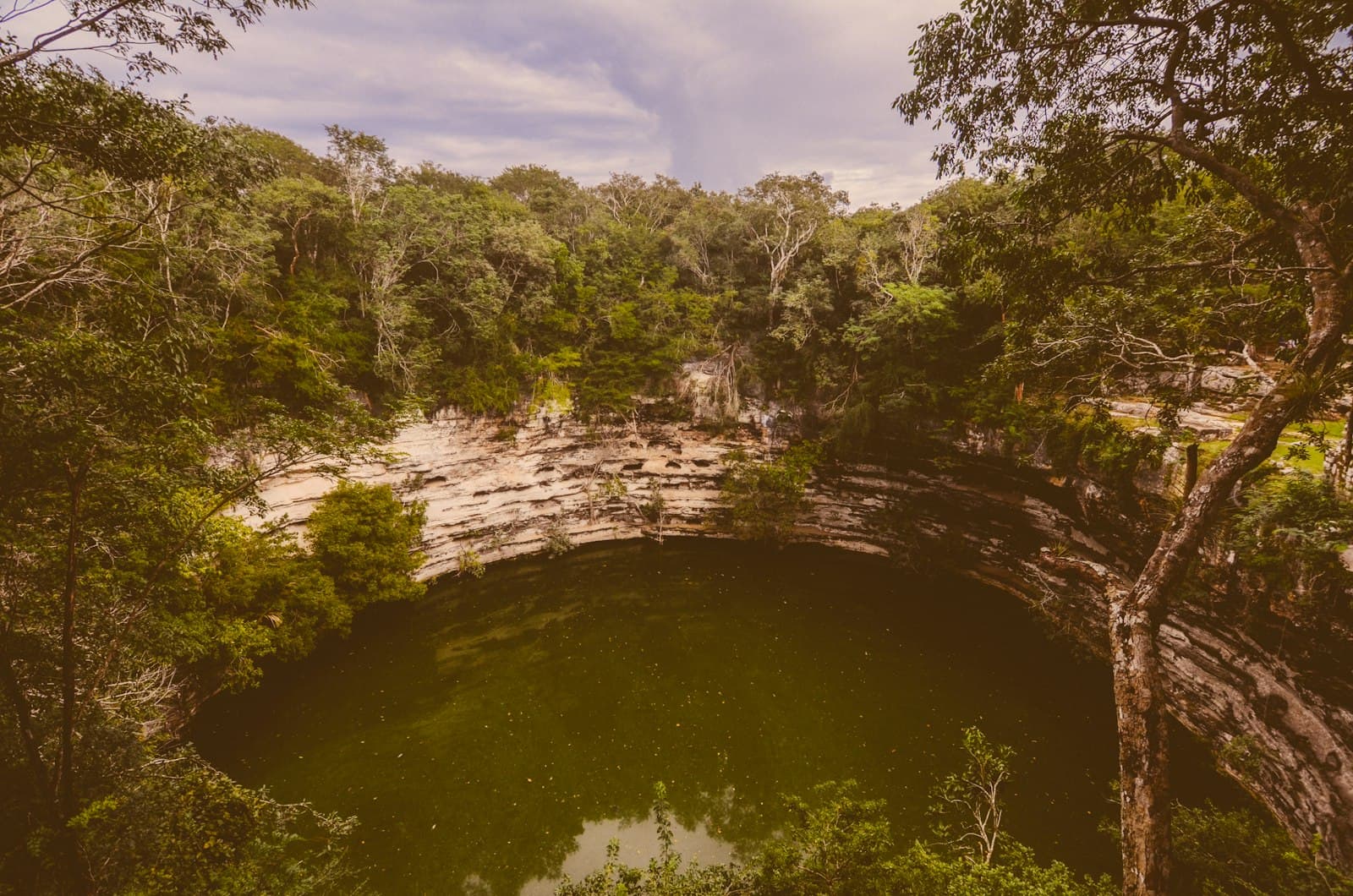 Un cenote de aguas cristalinas rodeado de exuberante vegetación en Yucatán.