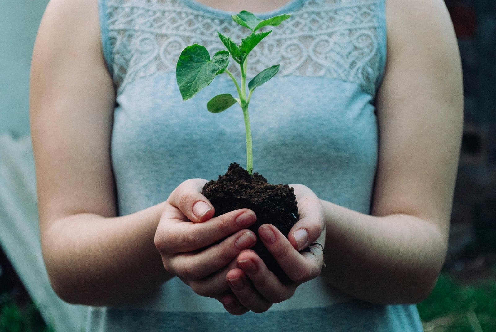 Manos sosteniendo suavemente una pequeña planta verde, simbolizando el cuidado y el crecimiento personal.