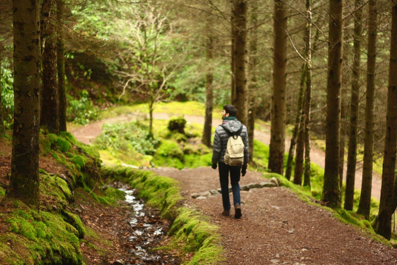 A person walking on a path surrounded by nature, in introspection