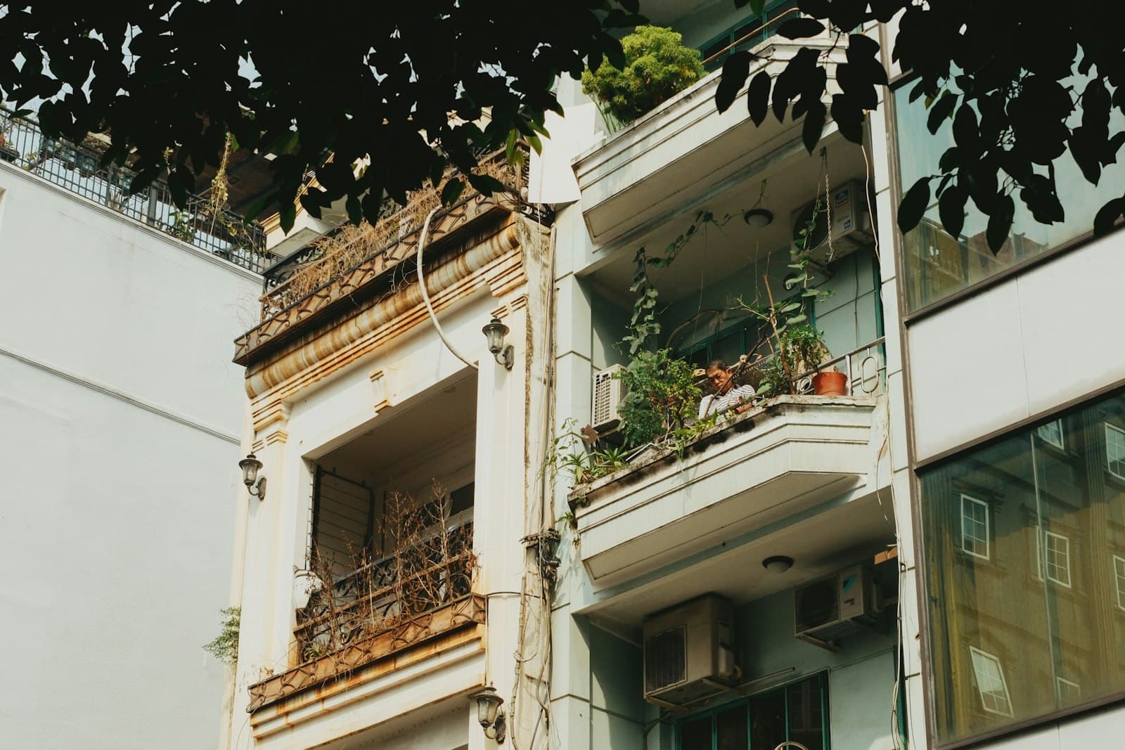 Manos cuidando pequeñas plantas en el balcón de un apartamento en la ciudad